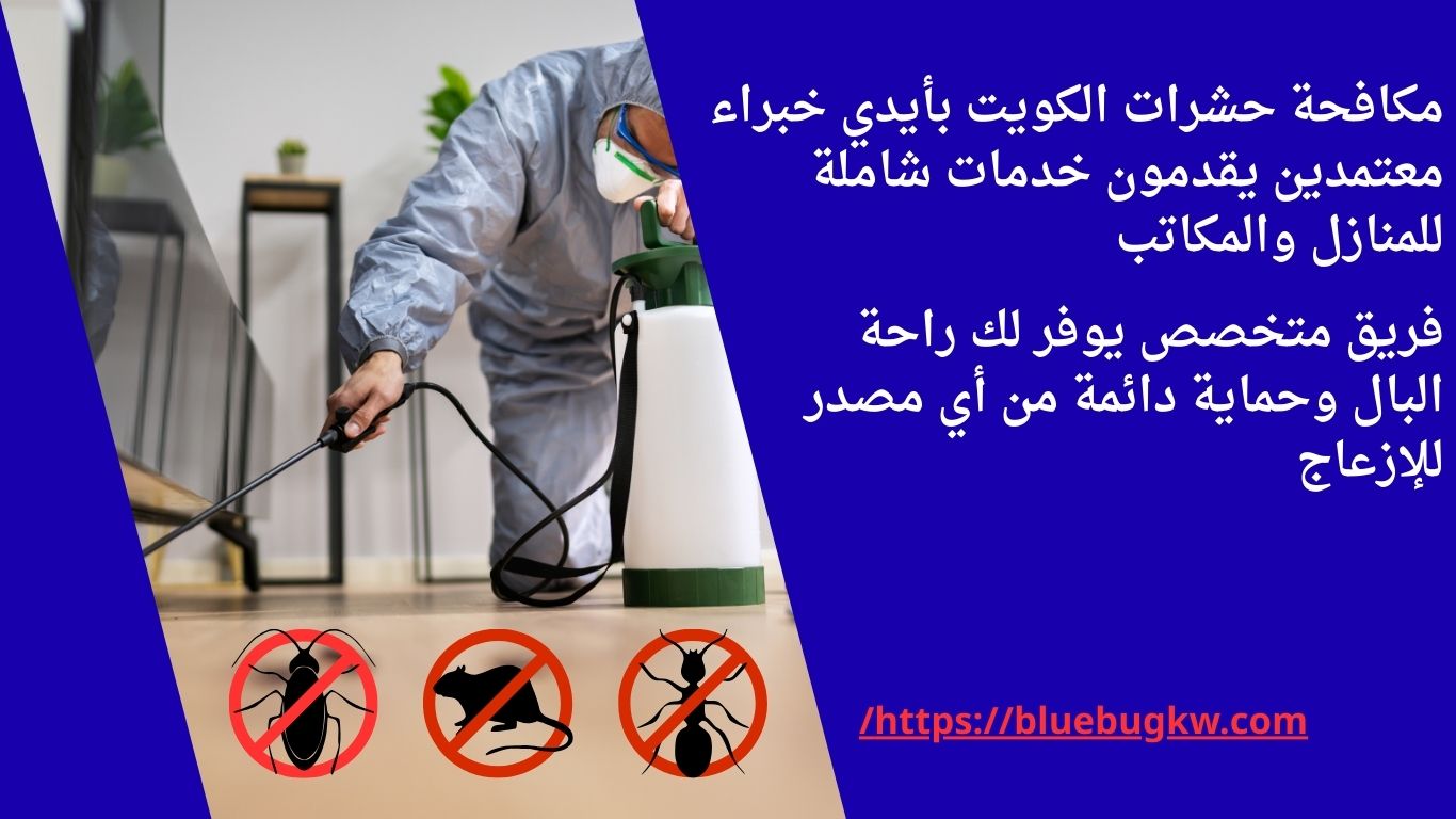 مكافحة حشرات الكويت
