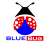 bluebugkwt