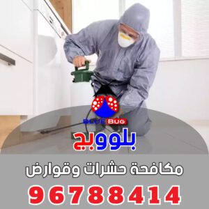 مكافحة القوارض فى مبارك الكبير - مكافحة قوارض مبارك الكبير