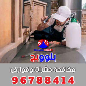 مكافحة فئران الكويت