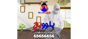 رش حشرات مبارك الكبير