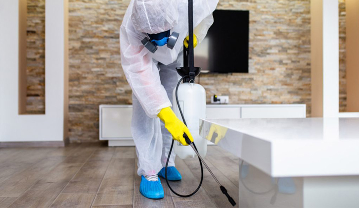 مكافحة حشرات الكويت-96596788197