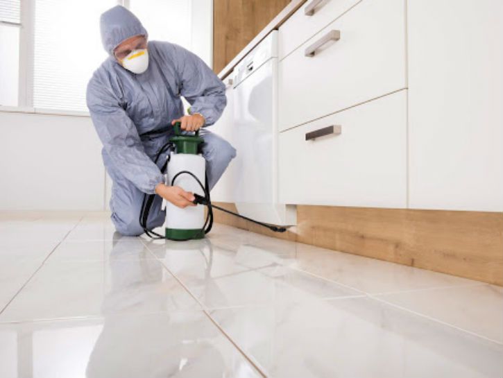 مكافحة الحشرات بالكويت - مكافحة القوارض بالكويت - رش موبدات بالكويت - 51693608