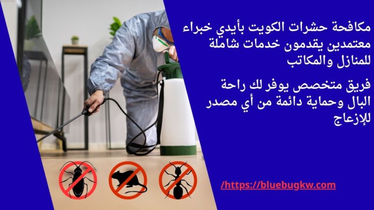 مكافحة حشرات الكويت