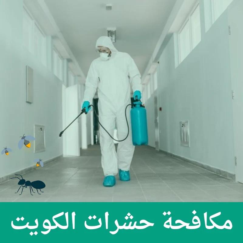 شركة مكافحة حشرات الكويت -96596788197