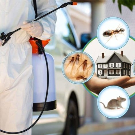 شركة رش حشرات الكويت -96596788197