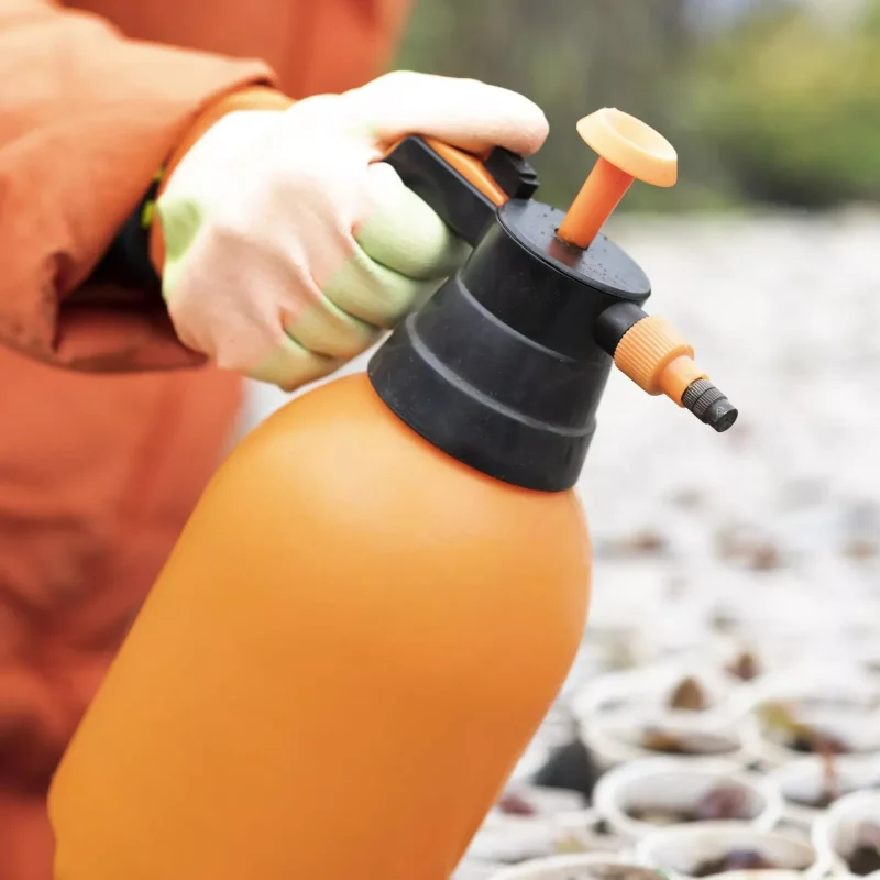 مكافحة الحشرات بالكويت - مكافحة القوارض بالكويت - رش موبدات بالكويت - 51693608